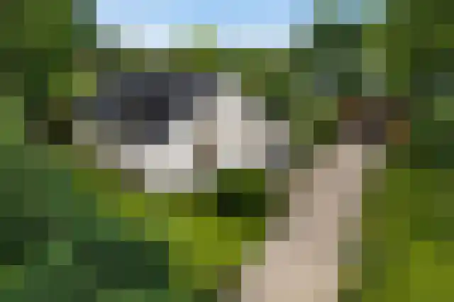 Hereweg 222 Meeden thumbnail 35