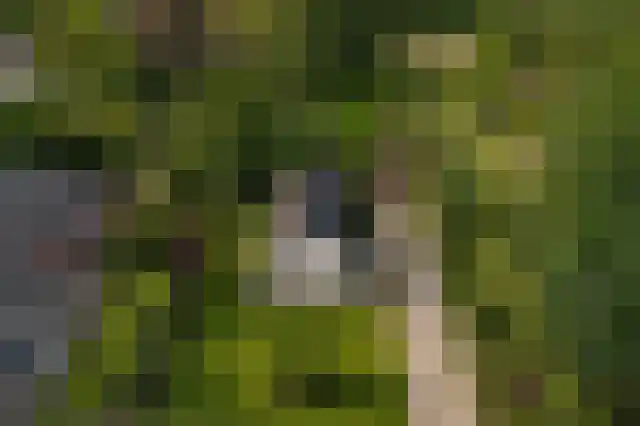Hereweg 222 Meeden thumbnail 37