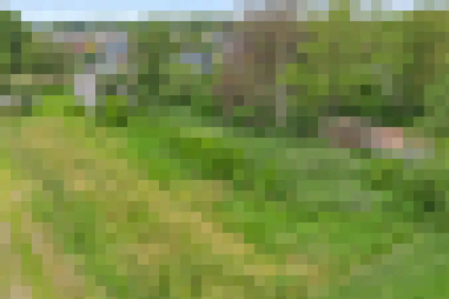 Hereweg 222 Meeden thumbnail 38