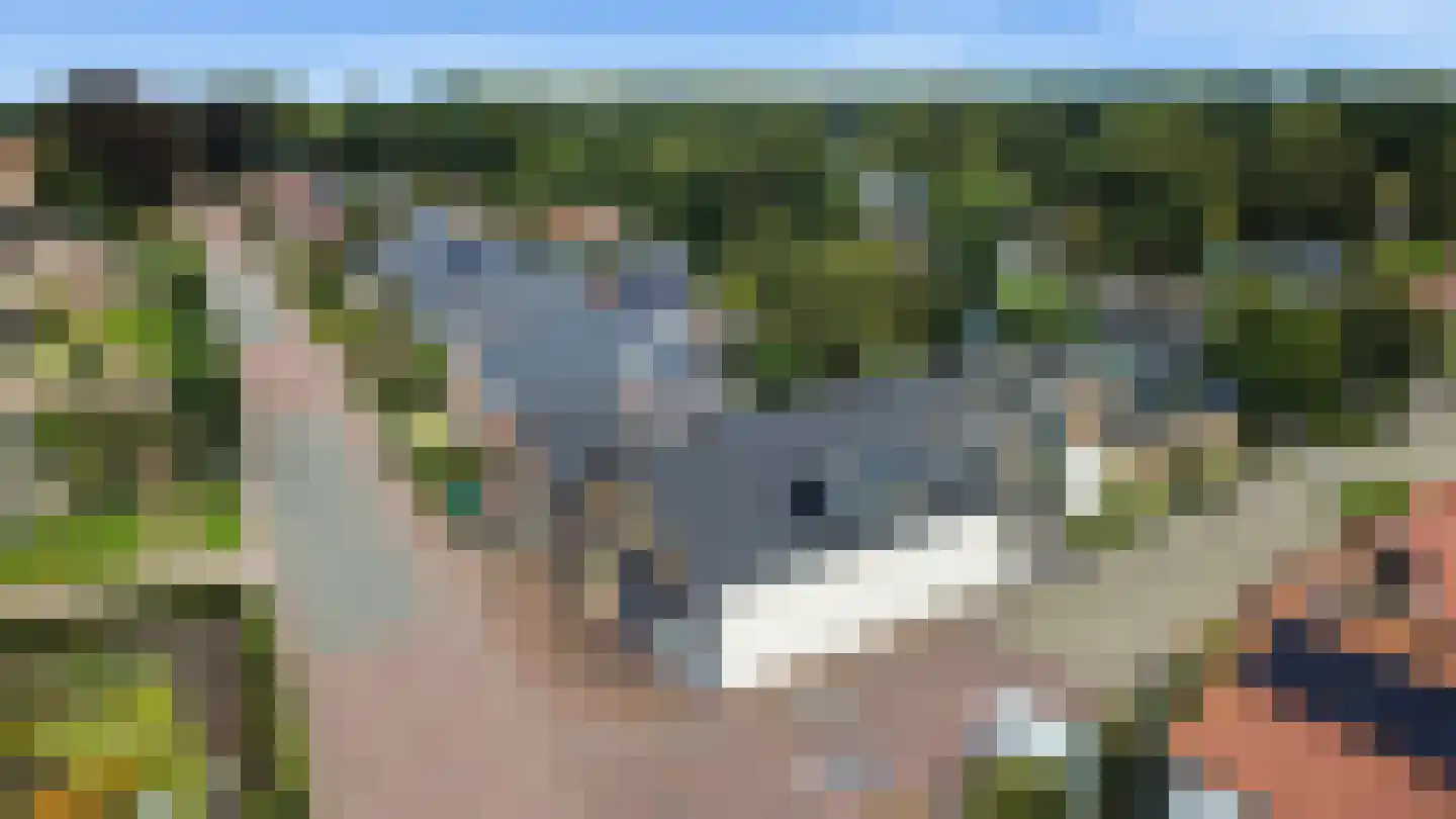 Hereweg 228 Meeden thumbnail 6
