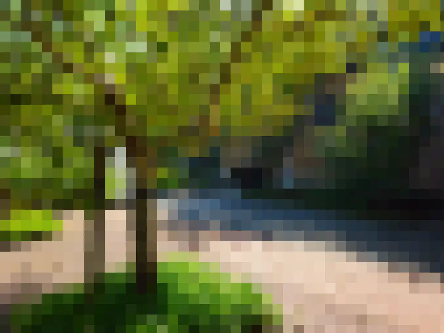 Hereweg 228 Meeden thumbnail 65