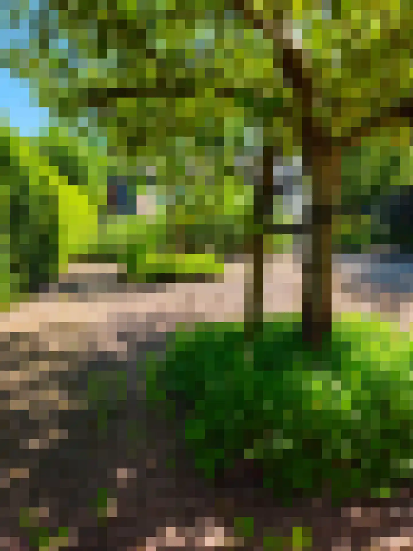 Hereweg 228 Meeden thumbnail 66