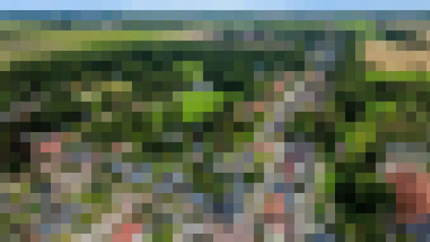 Hereweg 228 Meeden thumbnail 85