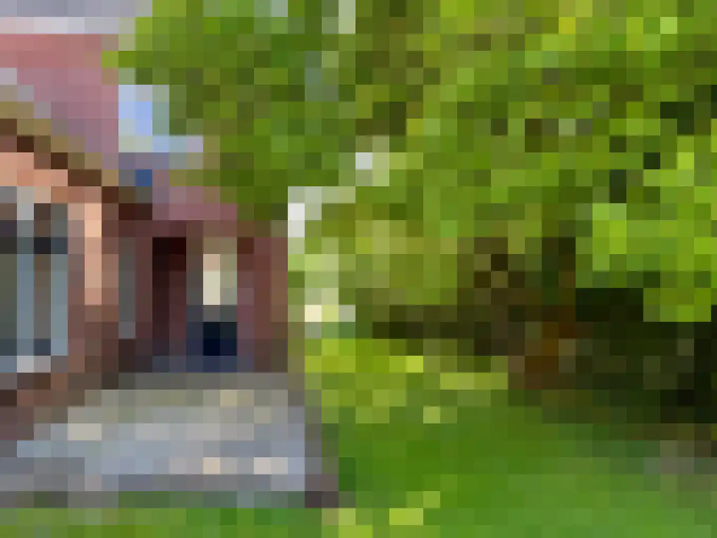 Hereweg 23 Bierum thumbnail 18
