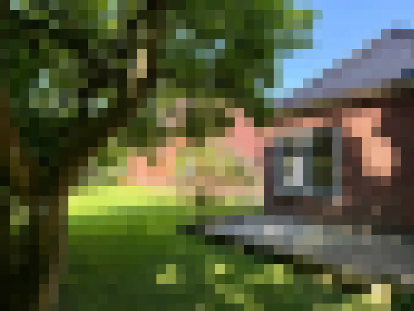 Hereweg 23 Bierum thumbnail 20