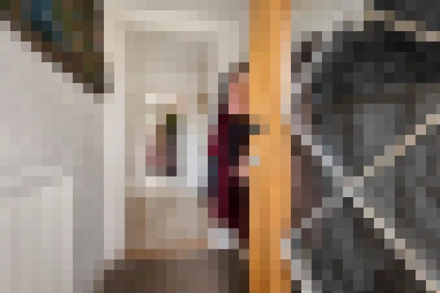 Hereweg 23 Bierum thumbnail 21