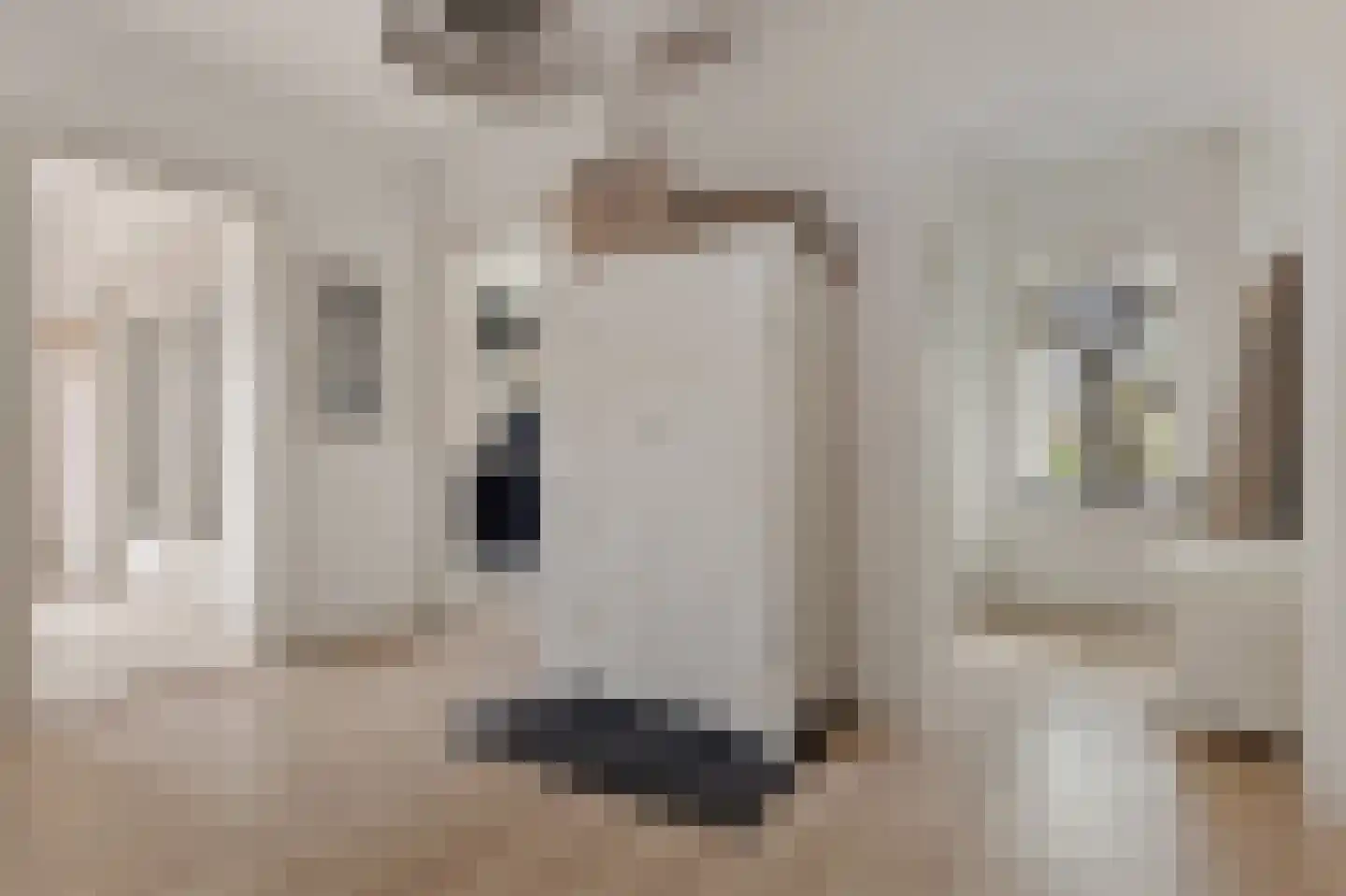 Hereweg 23 Bierum thumbnail 22
