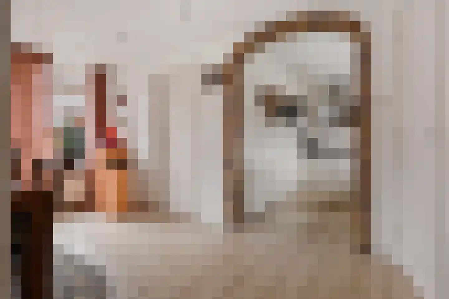 Hereweg 23 Bierum thumbnail 29