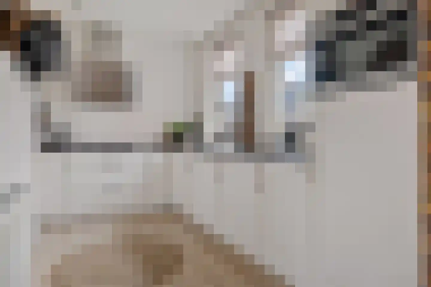 Hereweg 23 Bierum thumbnail 31