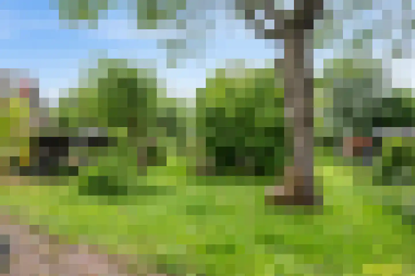 Hereweg 232 Meeden thumbnail 28
