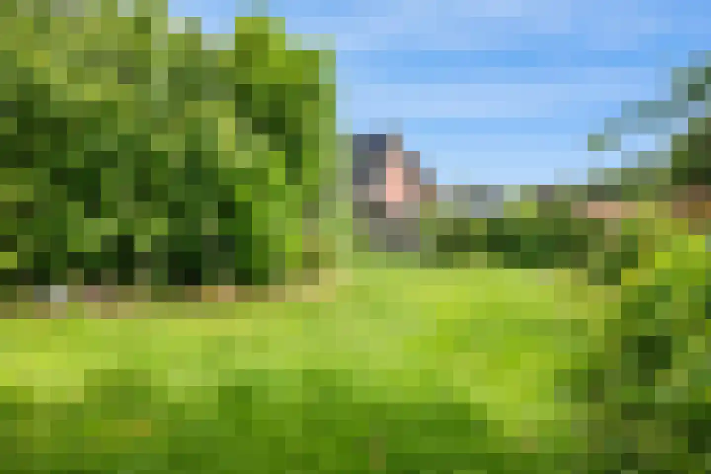 Hereweg 232 Meeden thumbnail 29