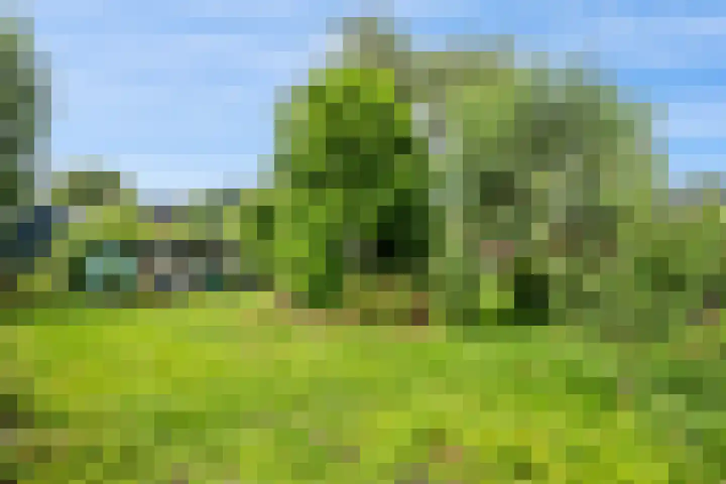Hereweg 232 Meeden thumbnail 30