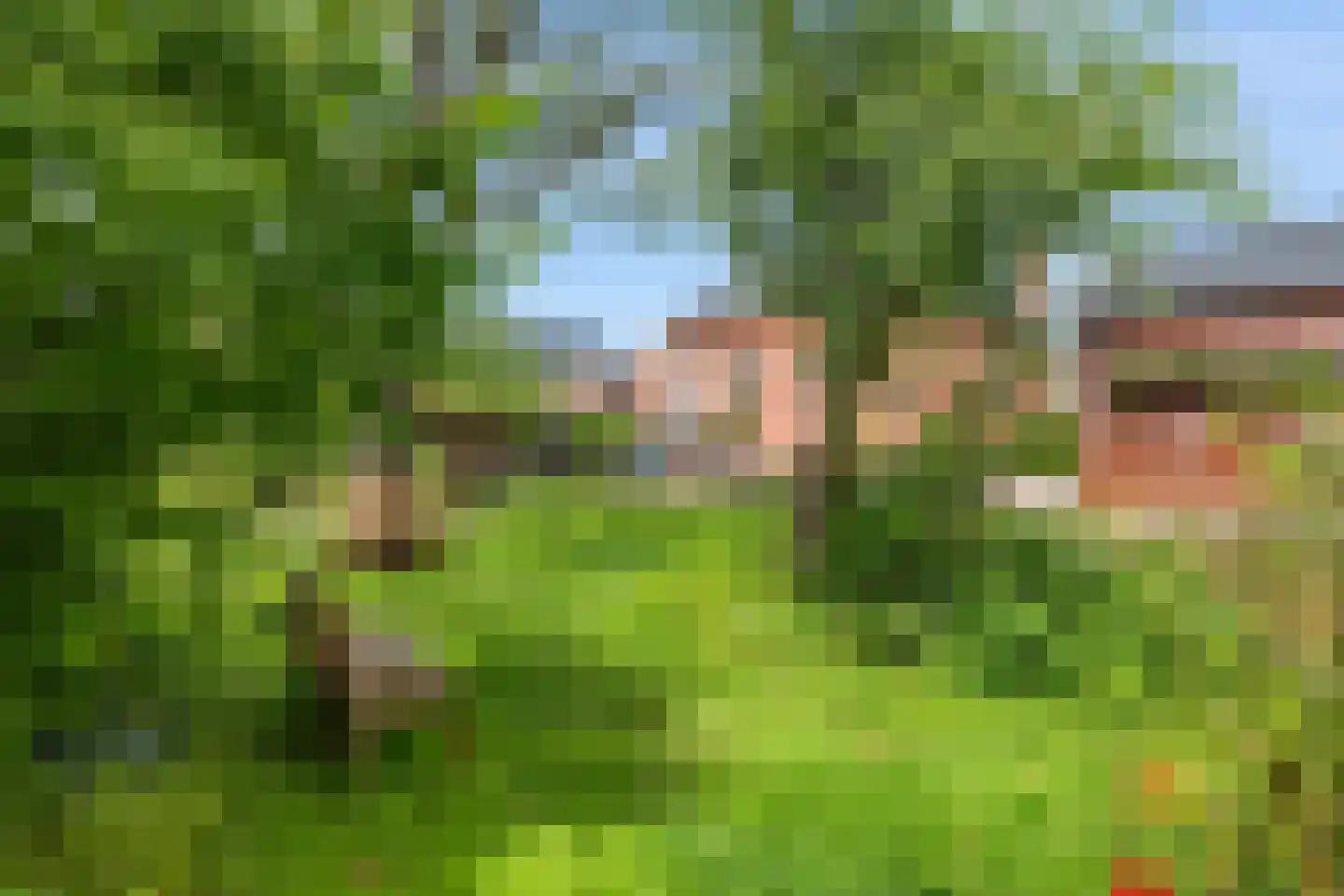 Hereweg 232 Meeden thumbnail 32