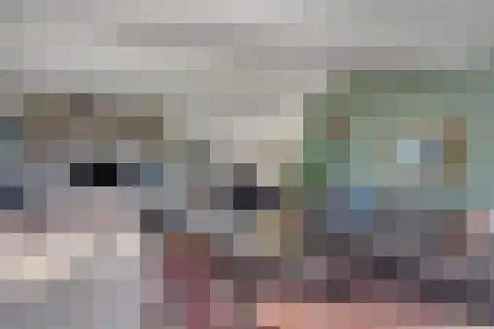 Hereweg 236 Meeden thumbnail 16