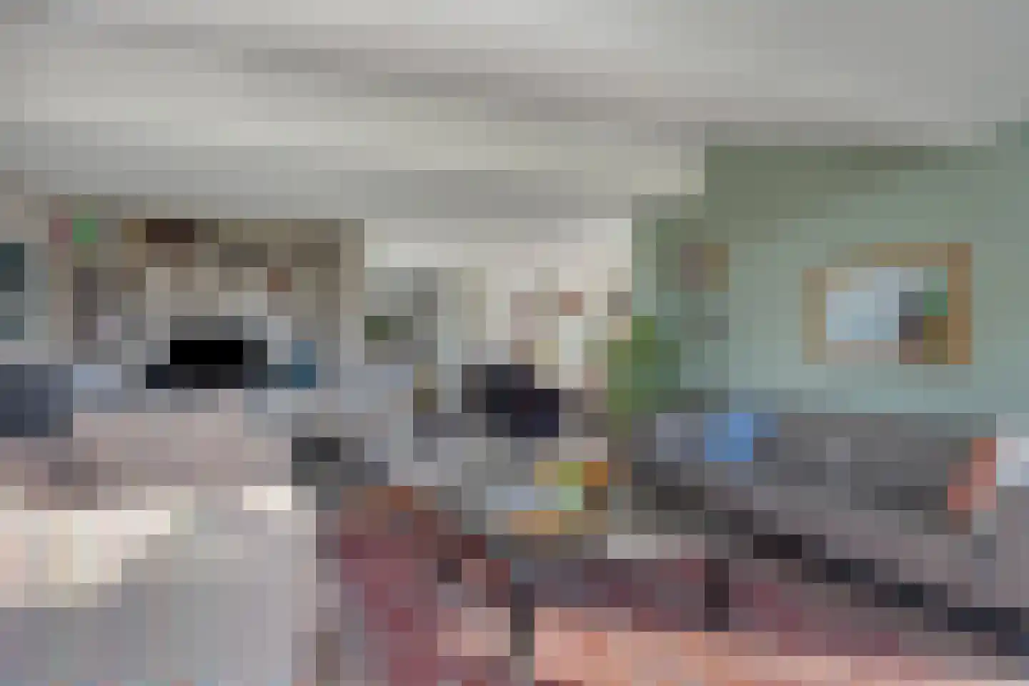 Hereweg 236 Meeden thumbnail 16