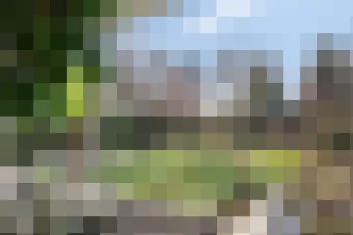 Hereweg 236 Meeden thumbnail 17
