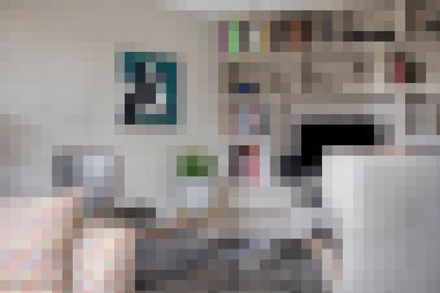 Hereweg 236 Meeden thumbnail 23
