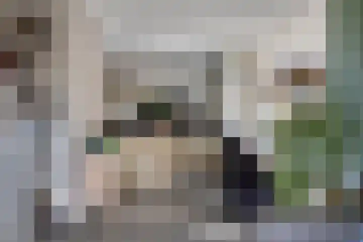 Hereweg 236 Meeden thumbnail 24