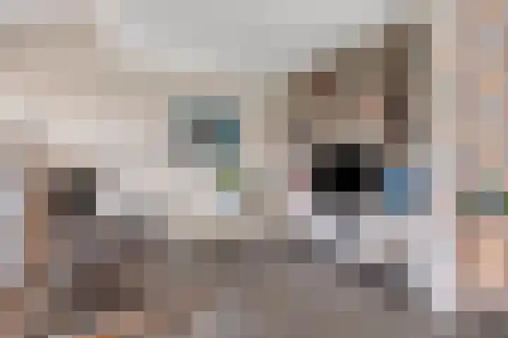 Hereweg 236 Meeden thumbnail 27