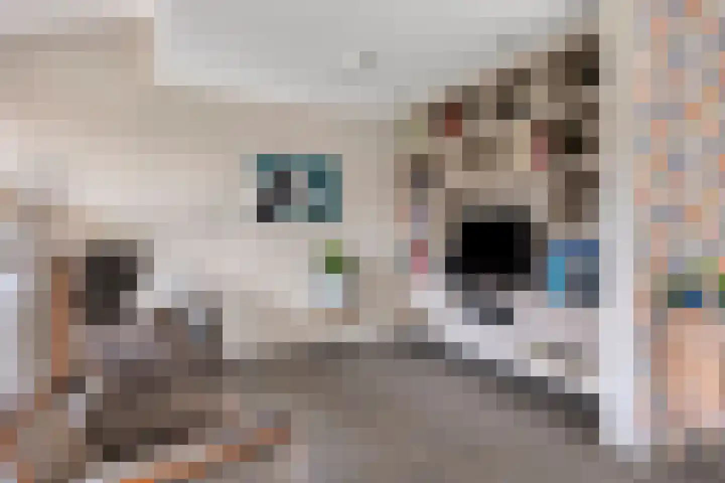 Hereweg 236 Meeden thumbnail 27