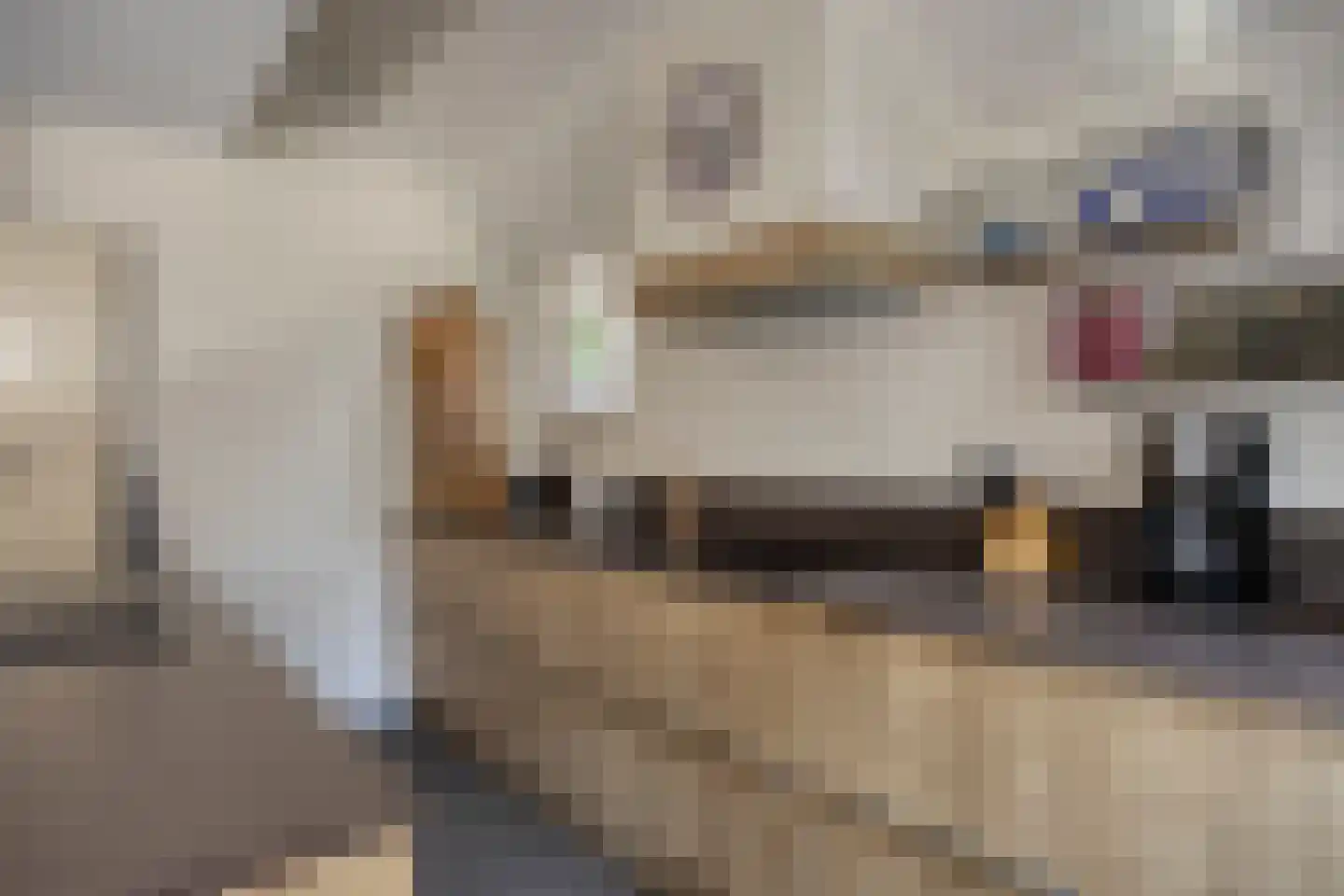 Hereweg 236 Meeden thumbnail 32