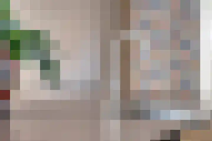 Hereweg 236 Meeden thumbnail 33