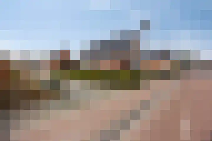 Hereweg 236 Meeden thumbnail 4