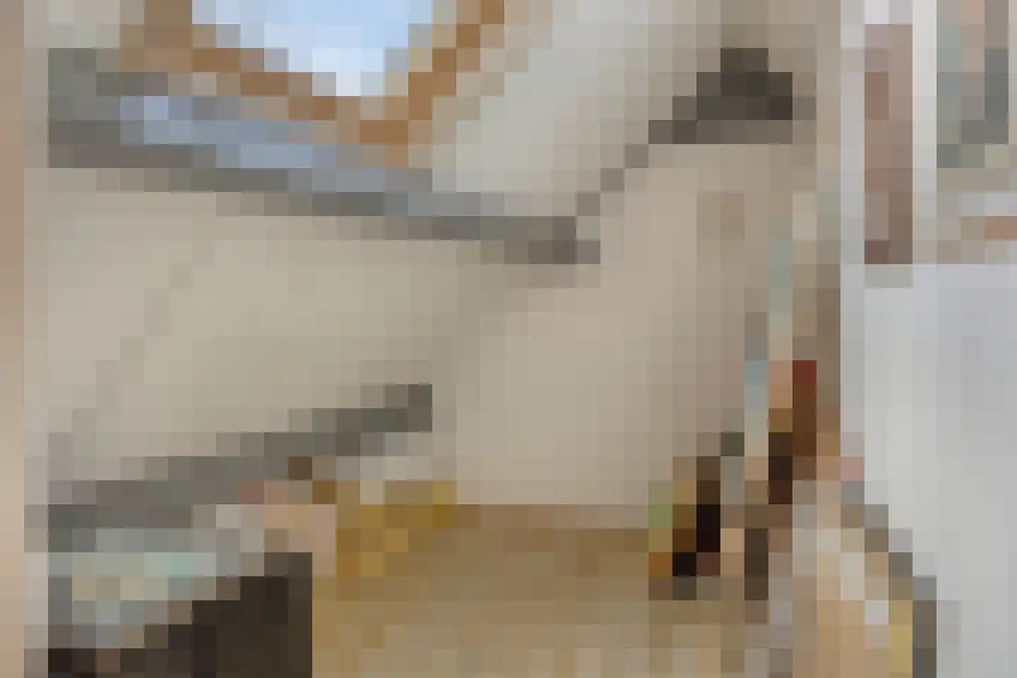 Hereweg 236 Meeden thumbnail 47