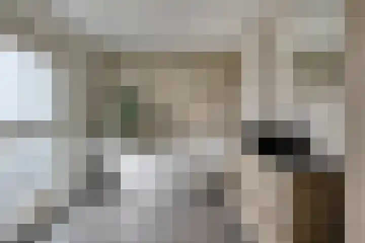 Hereweg 236 Meeden thumbnail 50