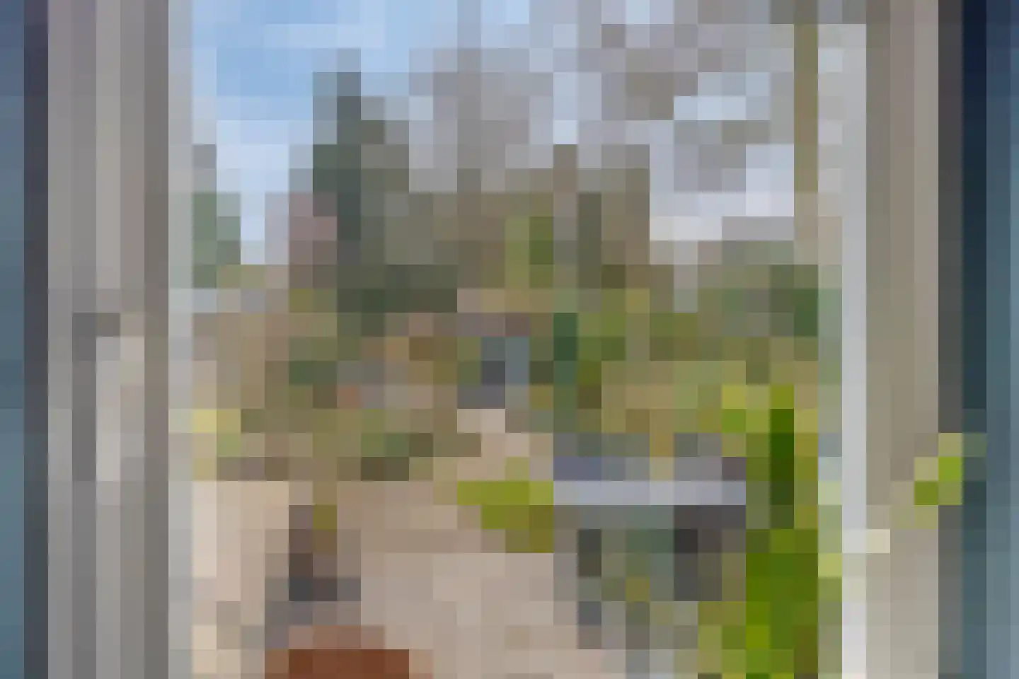 Hereweg 236 Meeden thumbnail 58