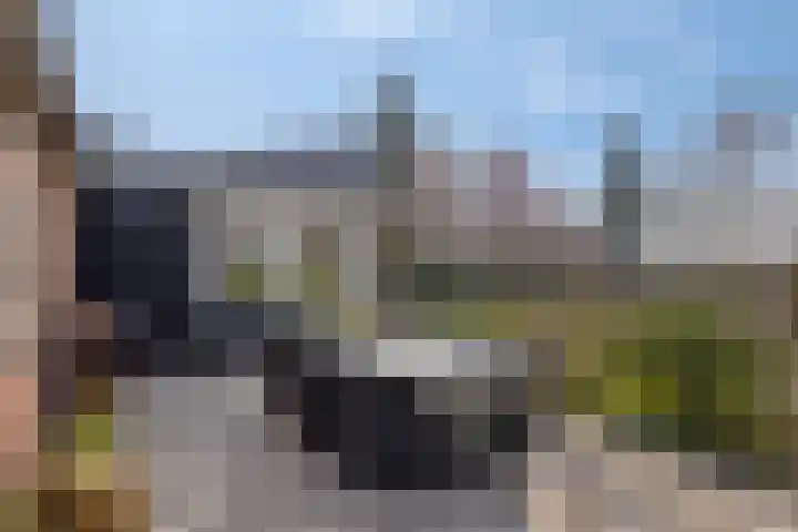 Hereweg 236 Meeden thumbnail 64