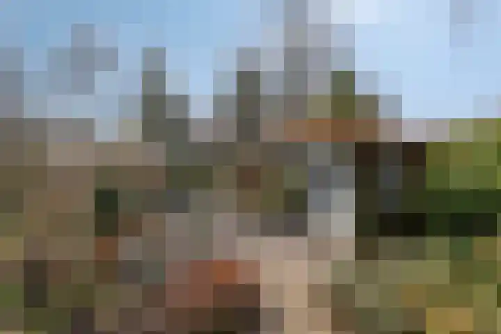Hereweg 236 Meeden thumbnail 67
