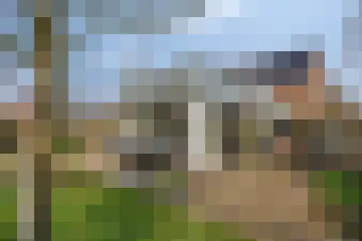 Hereweg 236 Meeden thumbnail 69