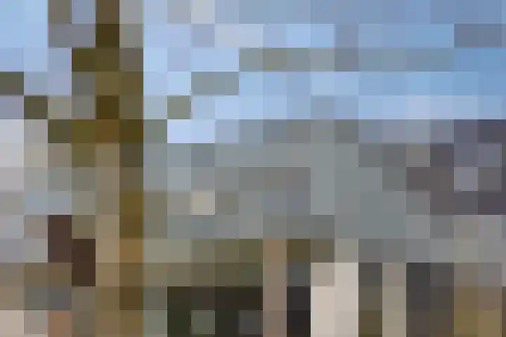 Hereweg 236 Meeden thumbnail 70
