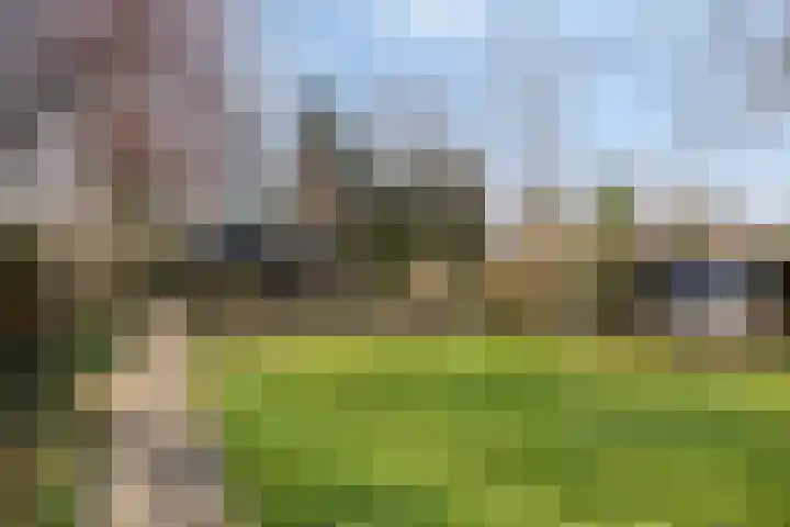 Hereweg 236 Meeden thumbnail 72