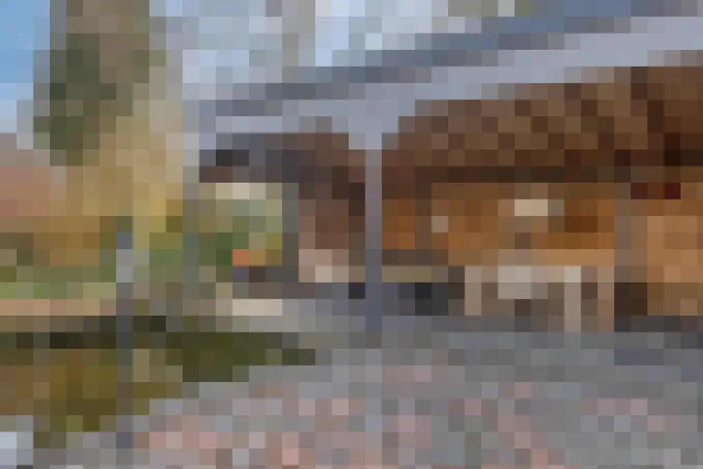 Hereweg 236 Meeden thumbnail 74