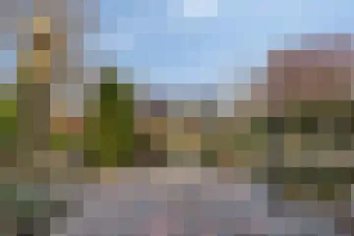 Hereweg 236 Meeden thumbnail 75