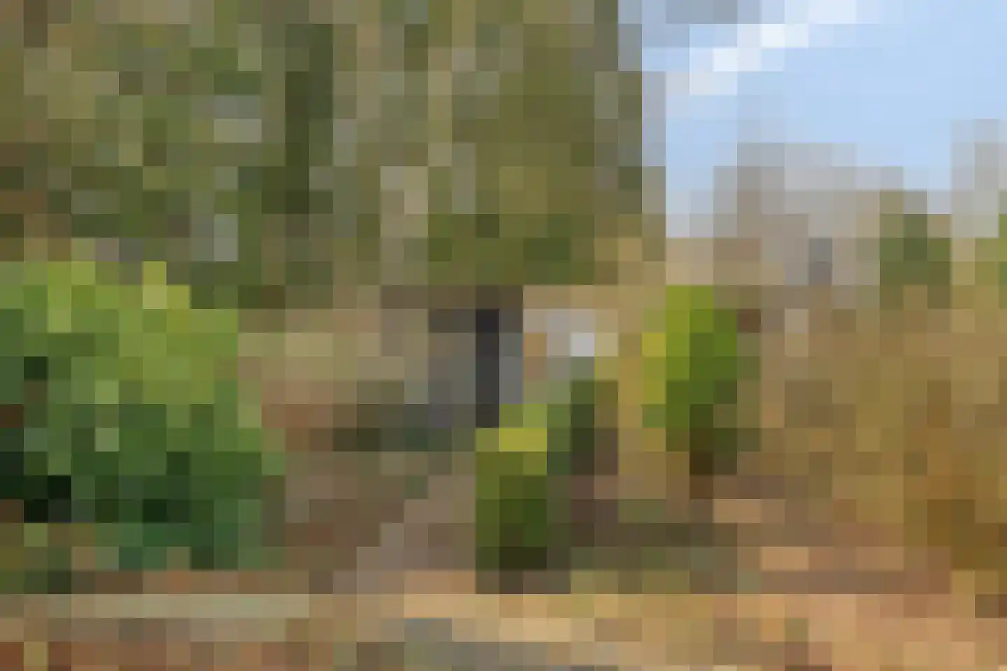 Hereweg 236 Meeden thumbnail 76
