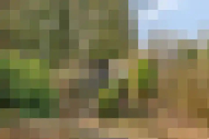 Hereweg 236 Meeden thumbnail 76
