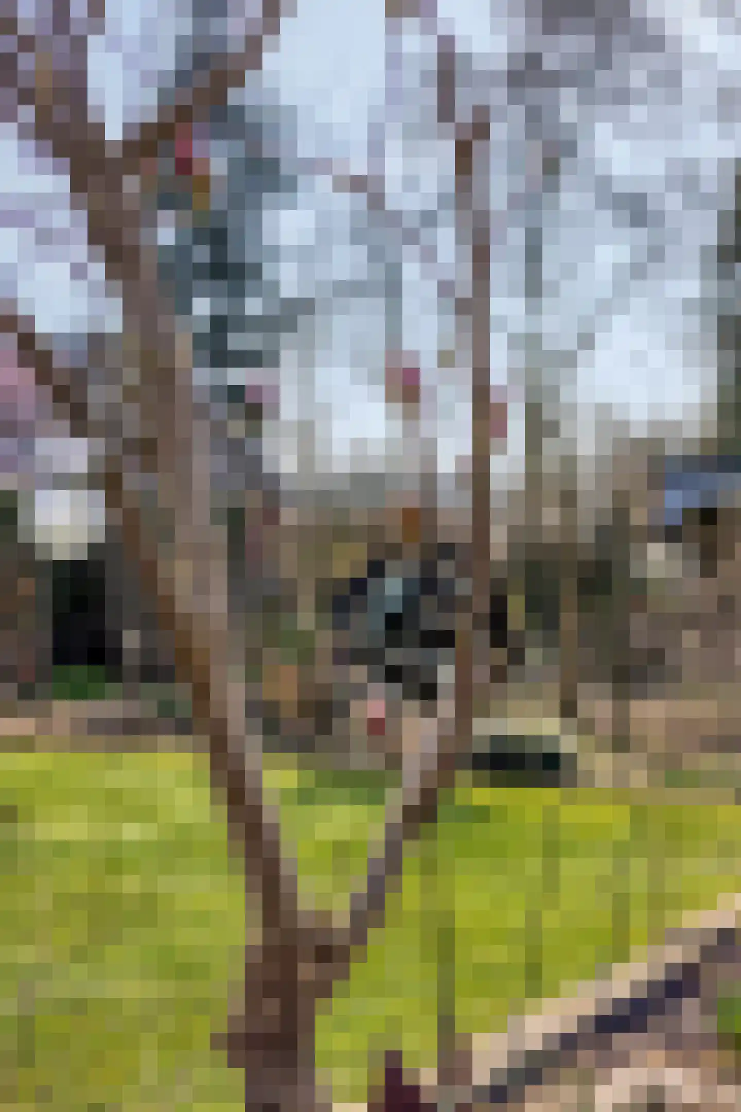 Hereweg 236 Meeden thumbnail 79