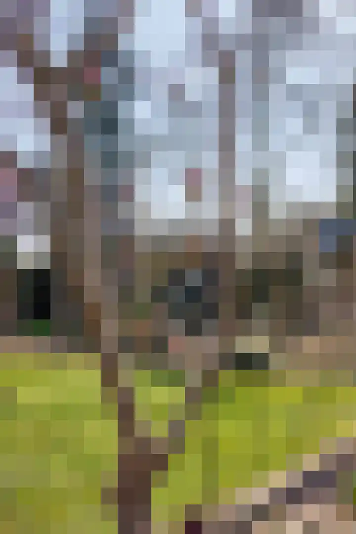 Hereweg 236 Meeden thumbnail 79