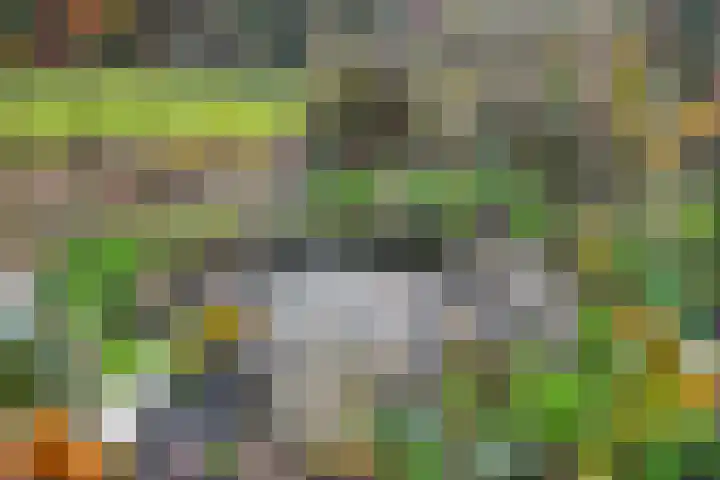 Hereweg 236 Meeden thumbnail 82