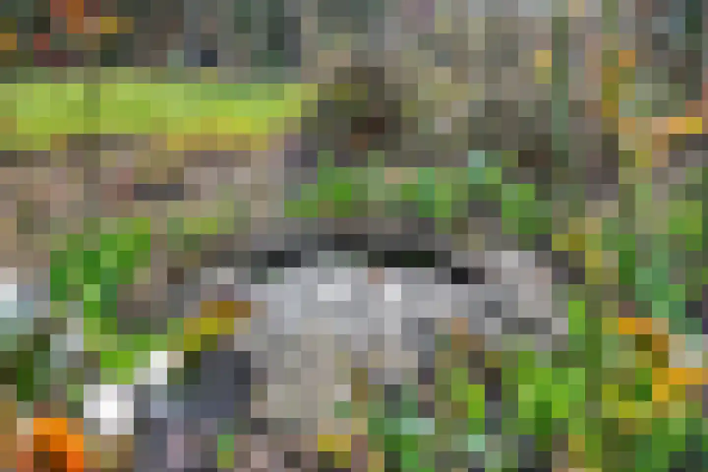 Hereweg 236 Meeden thumbnail 82