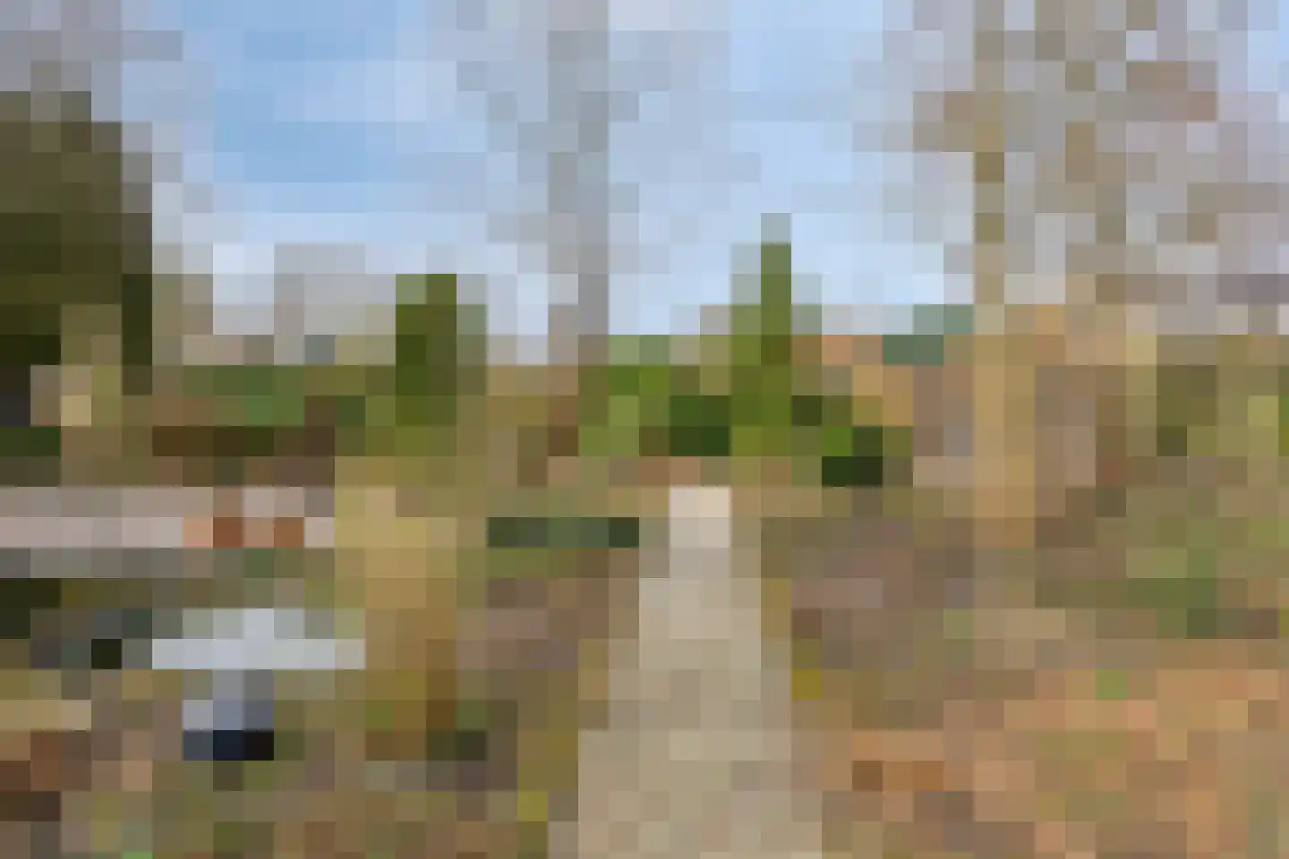 Hereweg 236 Meeden thumbnail 84