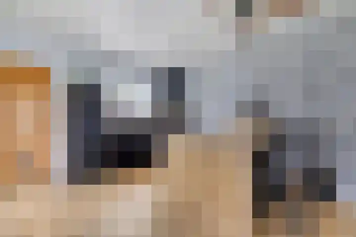 Hereweg 243 Meeden thumbnail 17