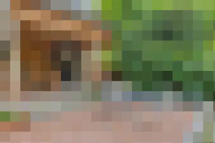 Hereweg 243 Meeden thumbnail 36