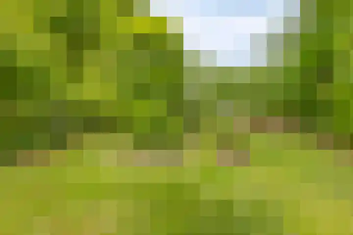 Hereweg 243 Meeden thumbnail 39