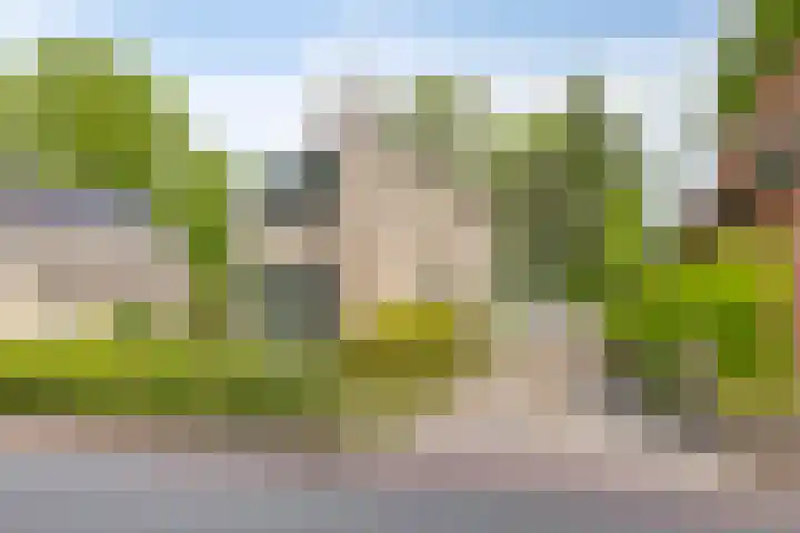 Hereweg 243 Meeden thumbnail 43