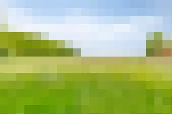Hereweg 243 Meeden thumbnail 6