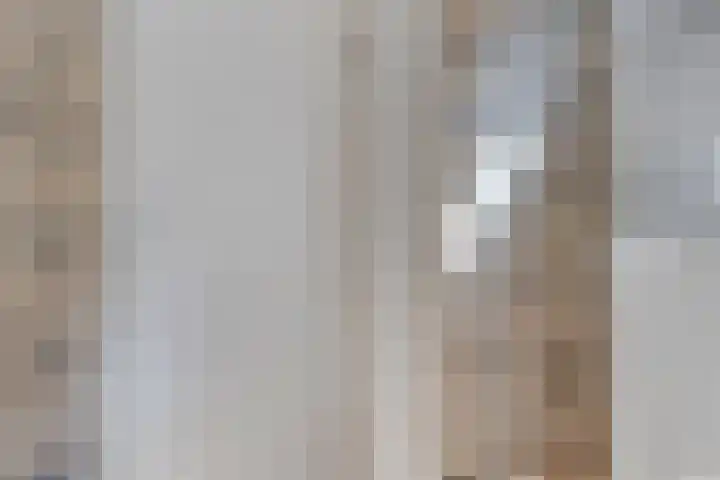Hereweg 243 Meeden thumbnail 8